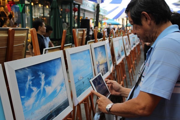 Photo exhibition about Truong Sa archipelago opens in HCMC - ảnh 1